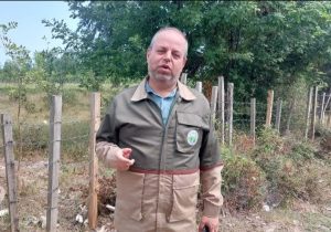 بازگشت ۲۰۴ هکتار از اراضی ملی گیلان به طبیعت در ۵ ماهه امسال