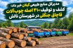 کشف و توقیف ۴۱۰ اصله چوبآلات قاچاق جنگلی در شهرستان تالش
