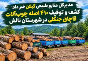 کشف و توقیف ۴۱۰ اصله چوبآلات قاچاق جنگلی در شهرستان تالش